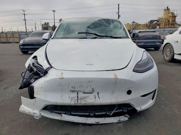 2025 TESLA MODEL Y