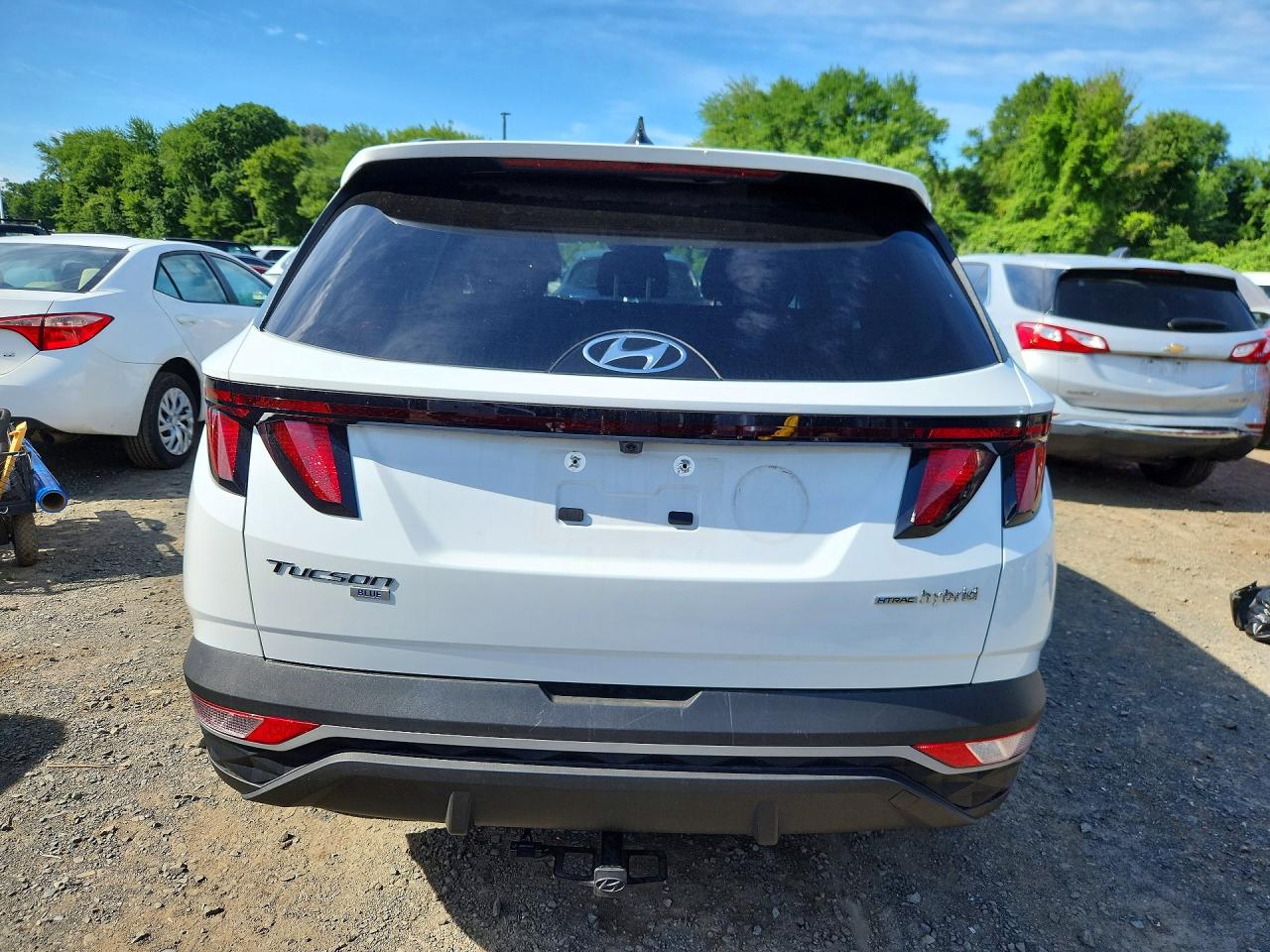 2024 HYUNDAI TUCSON Blue