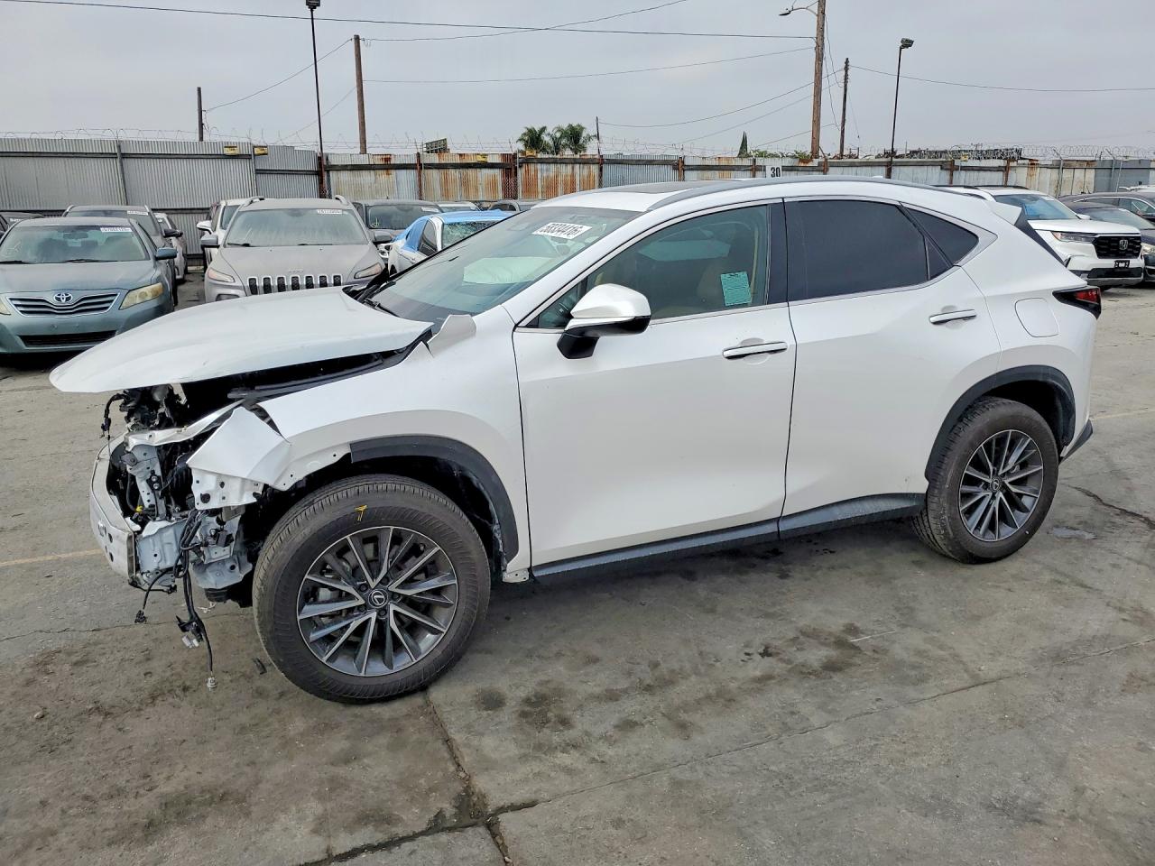 2025 LEXUS NX 250 350 Base