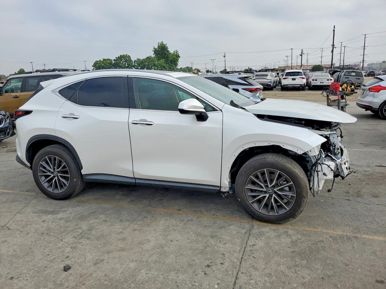 2025 LEXUS NX 250 350 Base