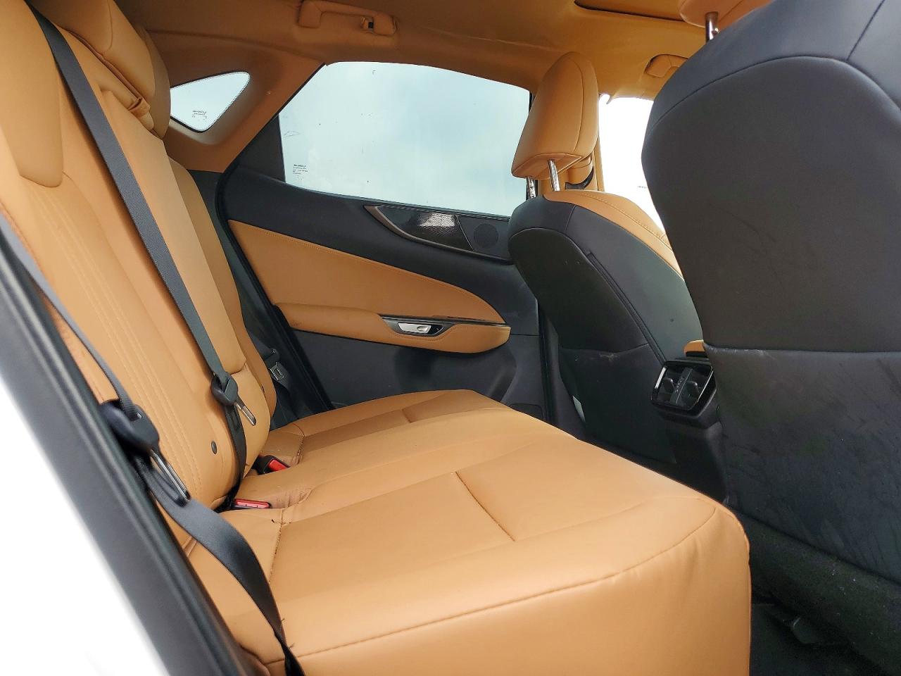 2025 LEXUS NX 250 350 Base