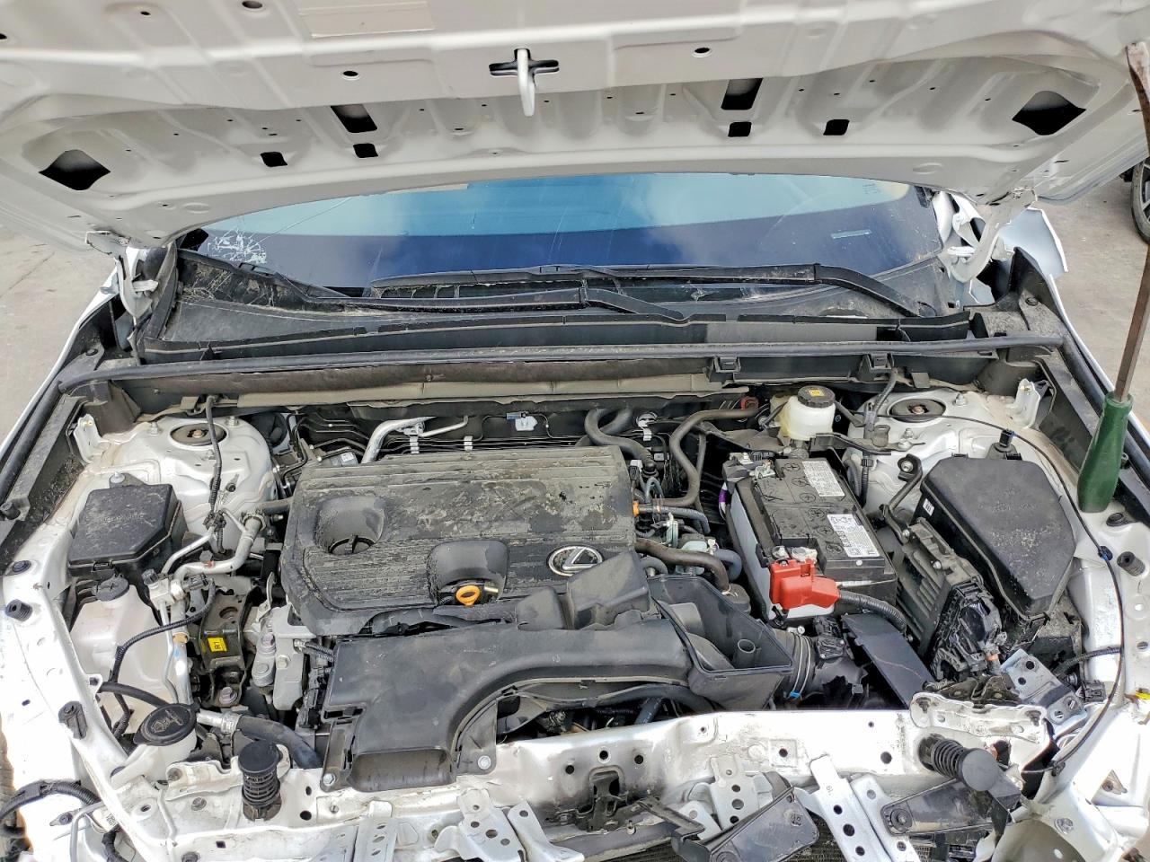 2025 LEXUS NX 250 350 Base