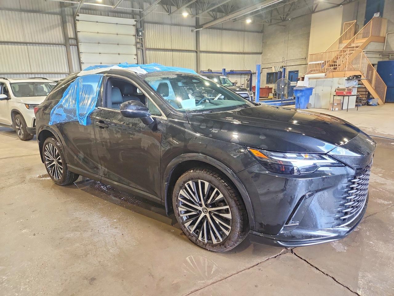 2025 LEXUS RX 350