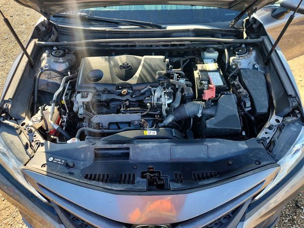 2019 TOYOTA CAMRY L/LE/SE/XLE