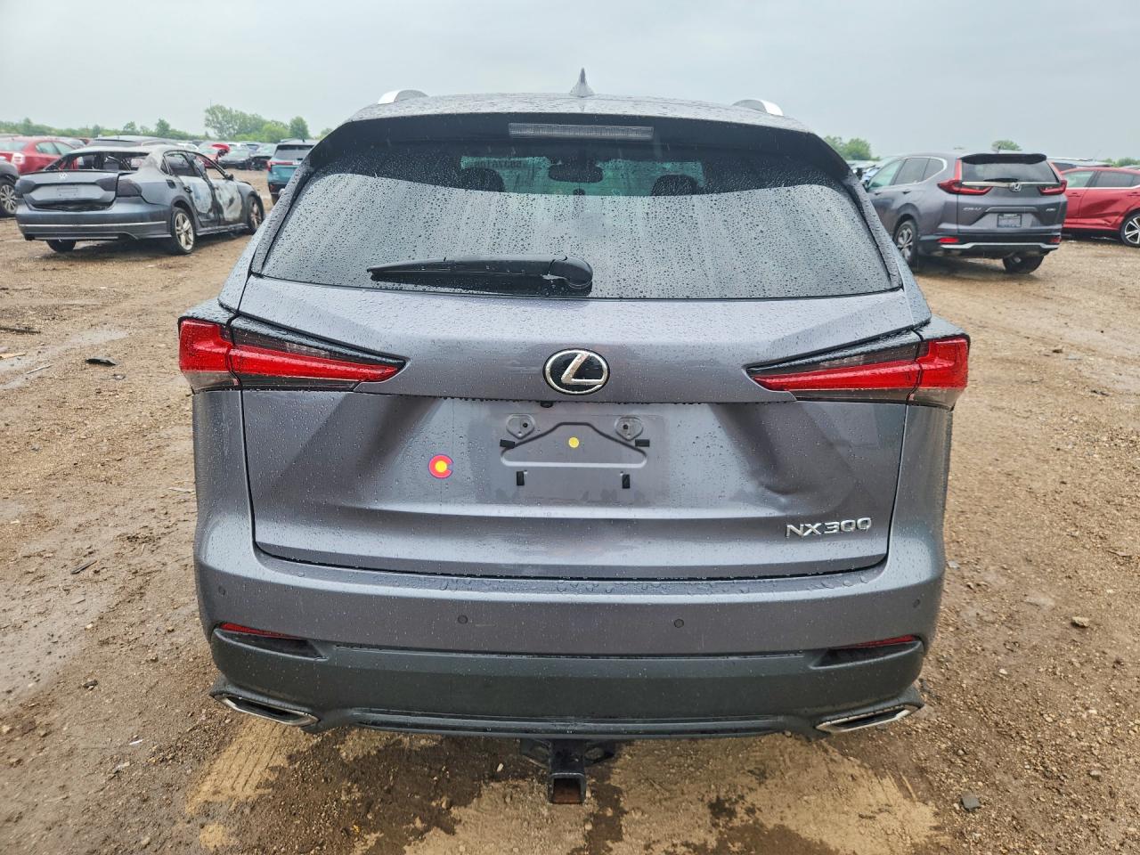 2019 LEXUS NX 300 300 Luxury