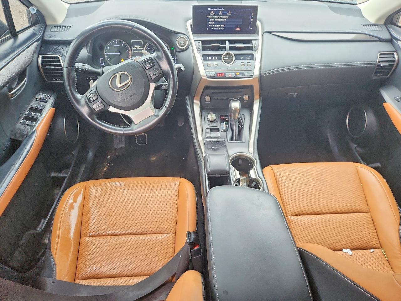 2019 LEXUS NX 300 300 Luxury