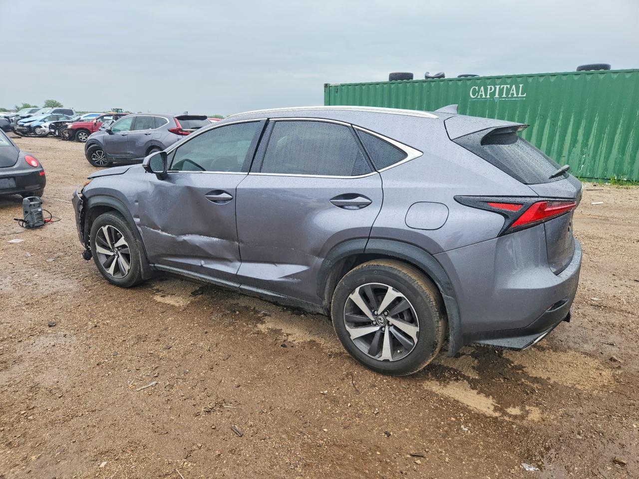 2019 LEXUS NX 300 300 Luxury