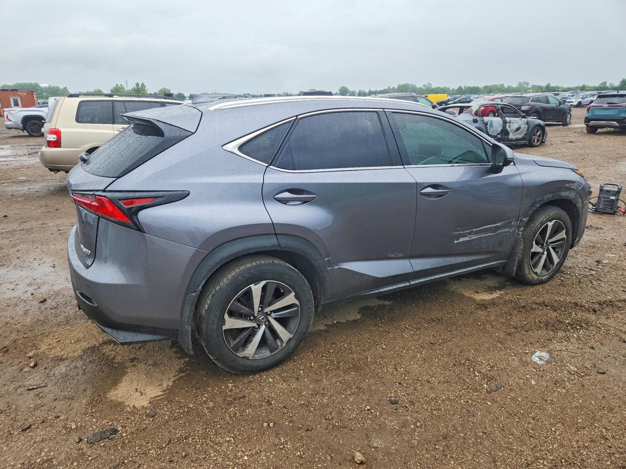 2019 LEXUS NX 300 300 Luxury