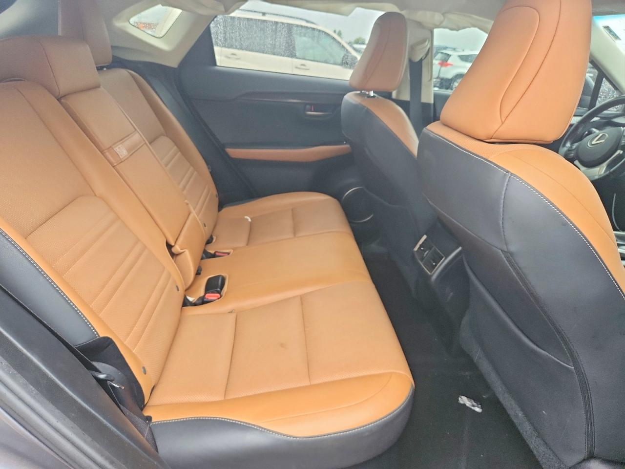 2019 LEXUS NX 300 300 Luxury