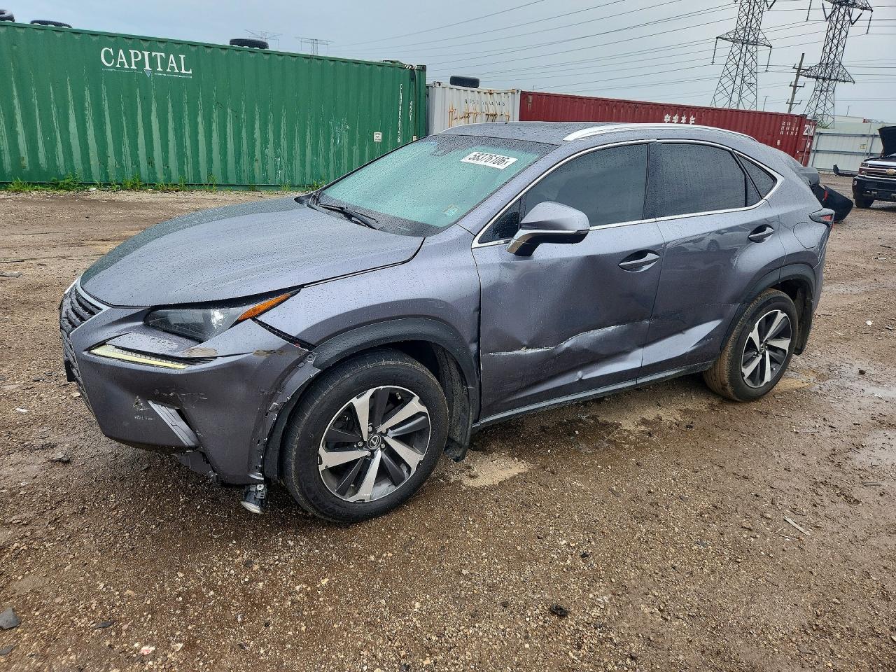 2019 LEXUS NX 300 300 Luxury