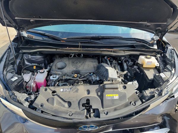 2025 TOYOTA SIENNA