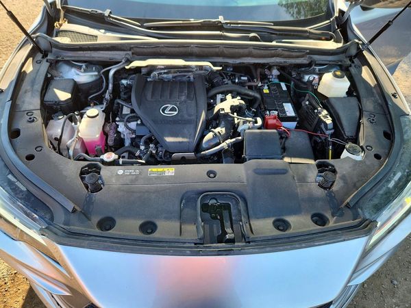 2024 LEXUS RX