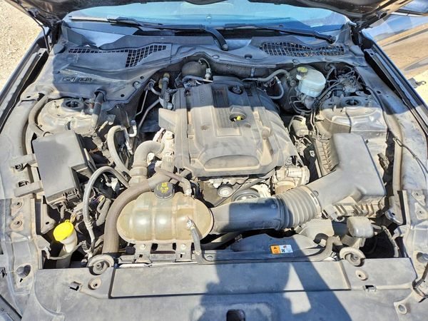 2017 FORD MUSTANG I4 Coupe