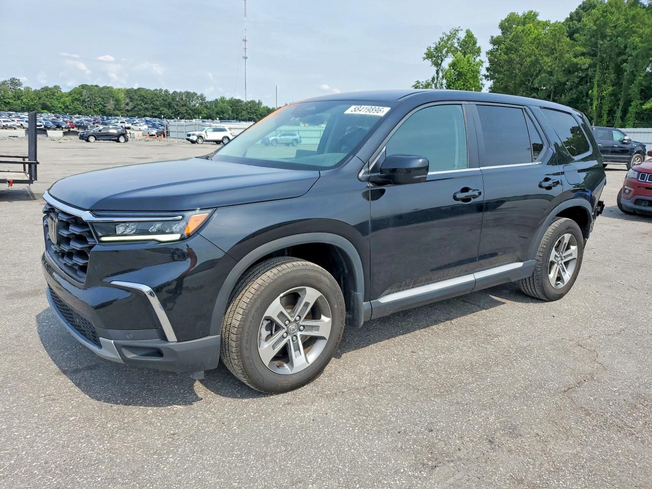 2025 HONDA PILOT EX-L, EX-L HPD