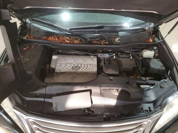 2015 LEXUS RX350