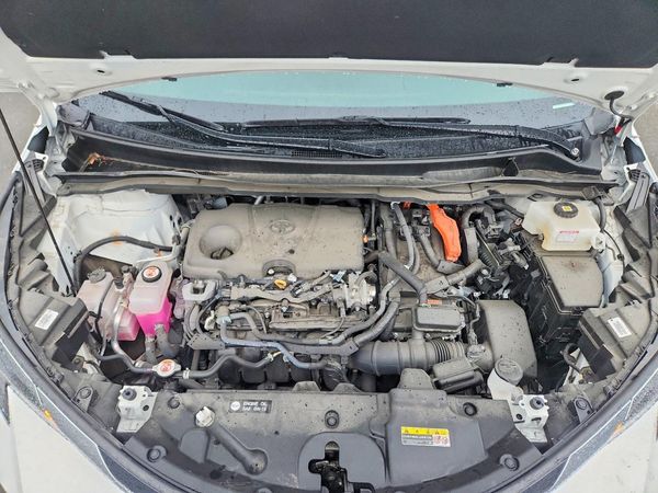 2025 TOYOTA SIENNA LE