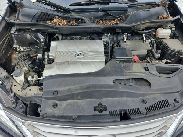 2014 LEXUS RX