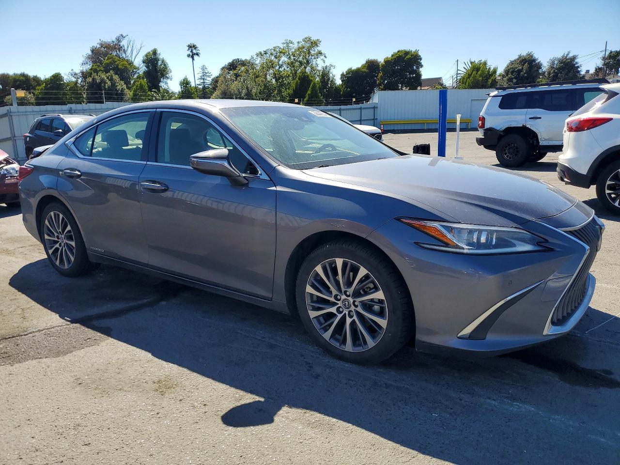 2019 LEXUS ES 300h