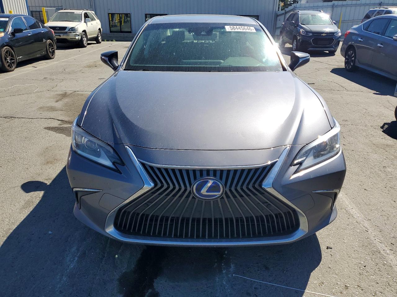 2019 LEXUS ES 300h