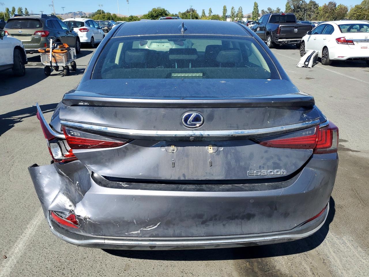 2019 LEXUS ES 300h