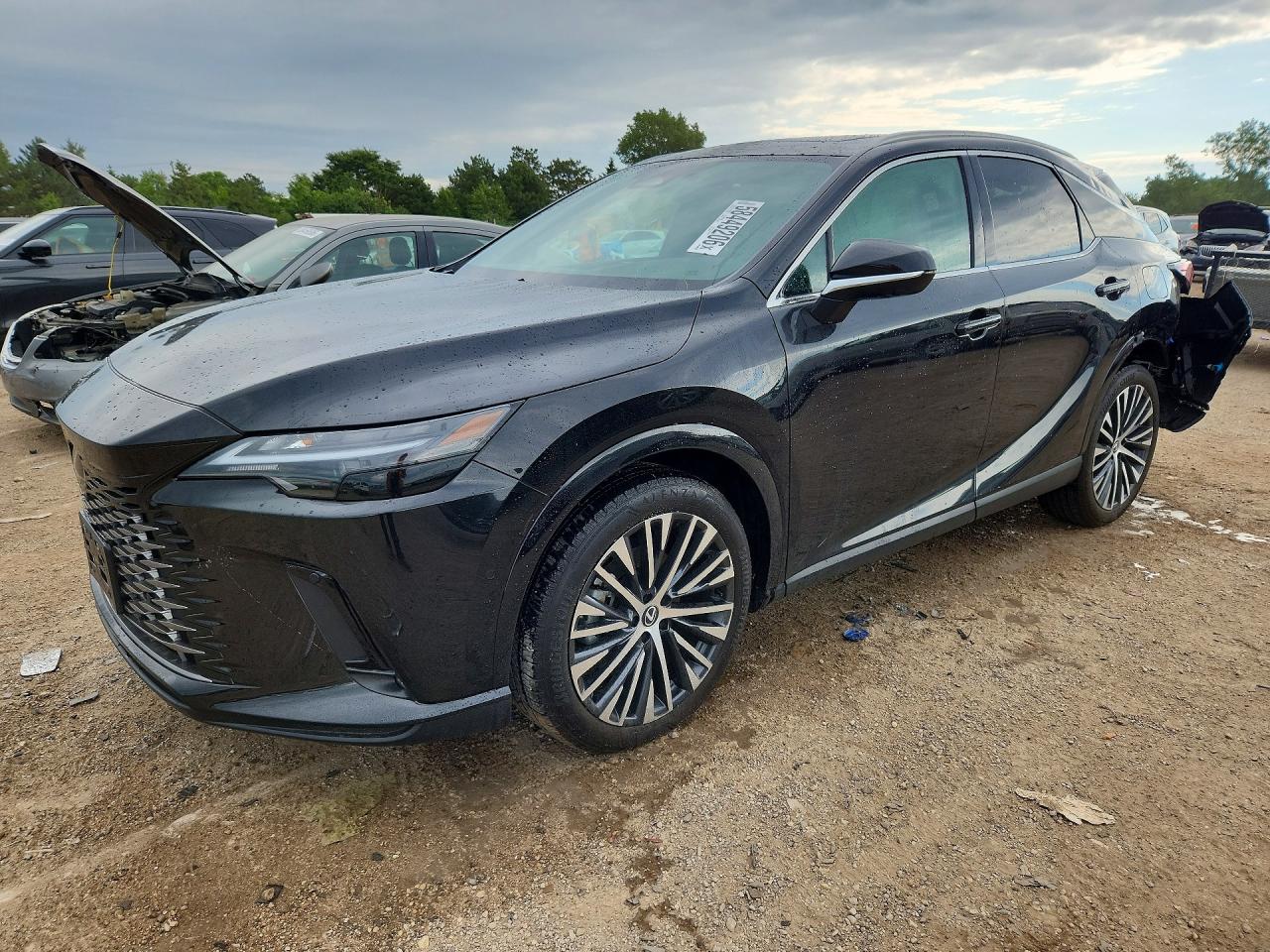 2024 LEXUS RX 350