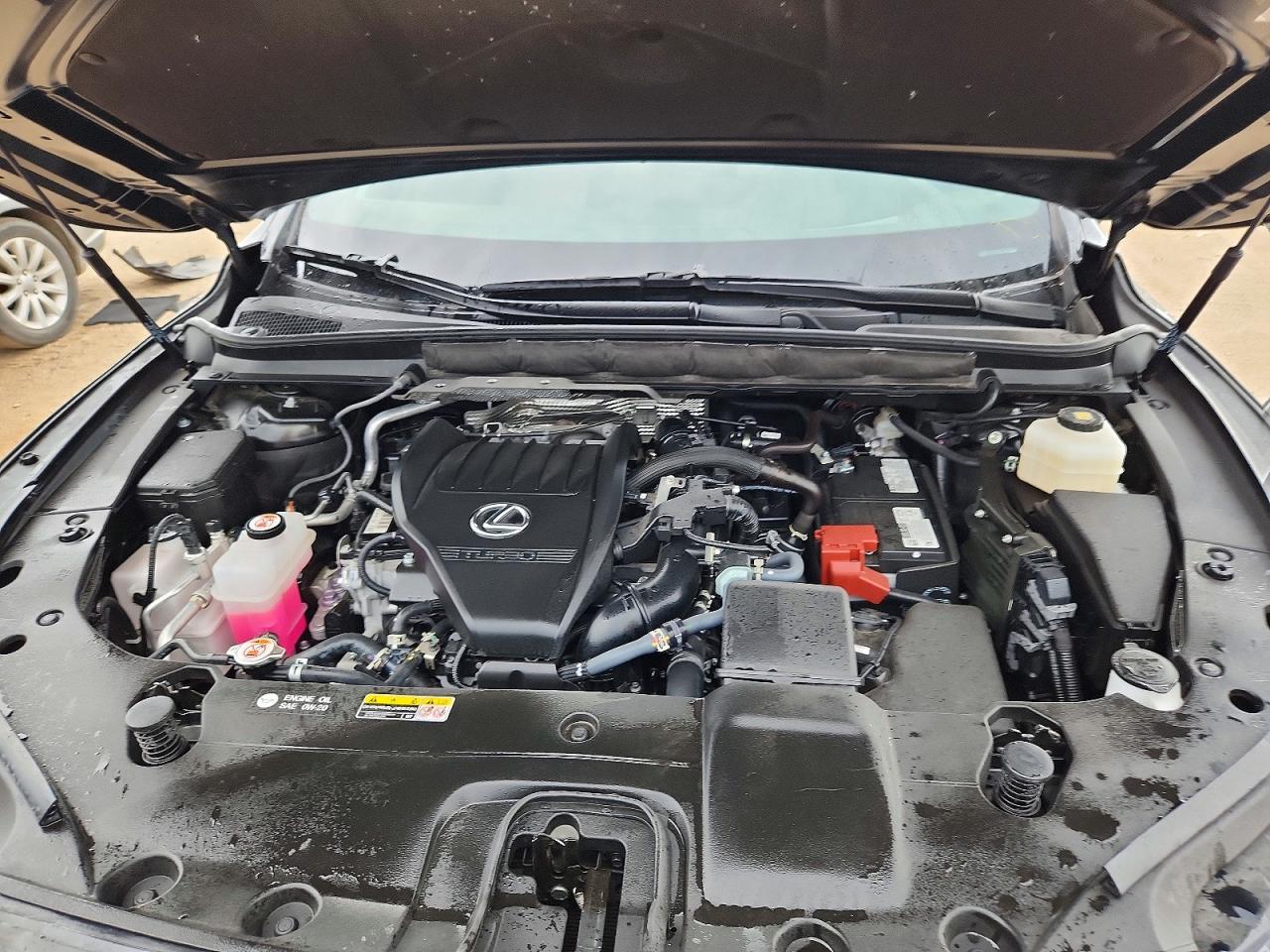 2024 LEXUS RX 350