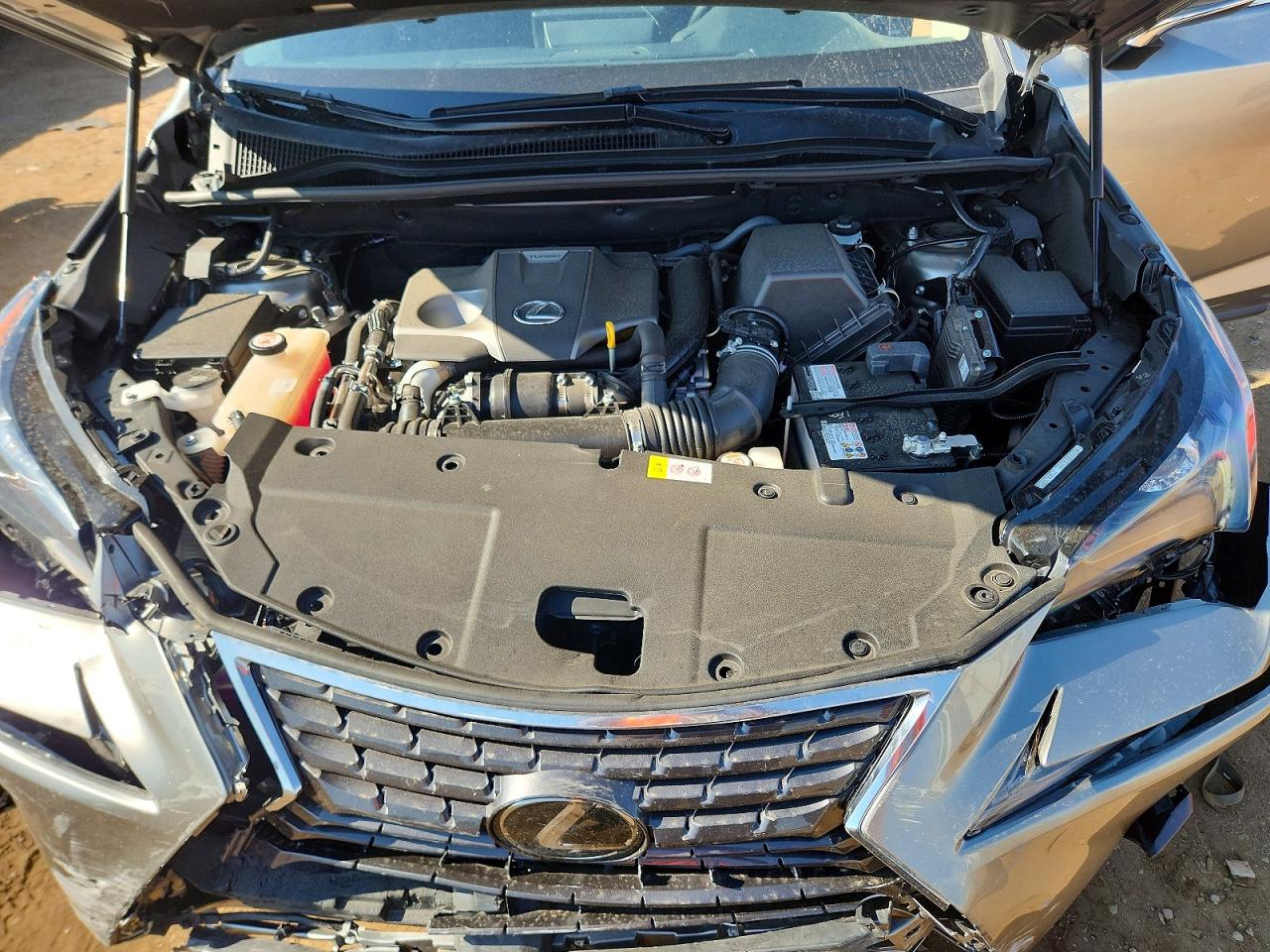2019 LEXUS NX 300 300 Luxury