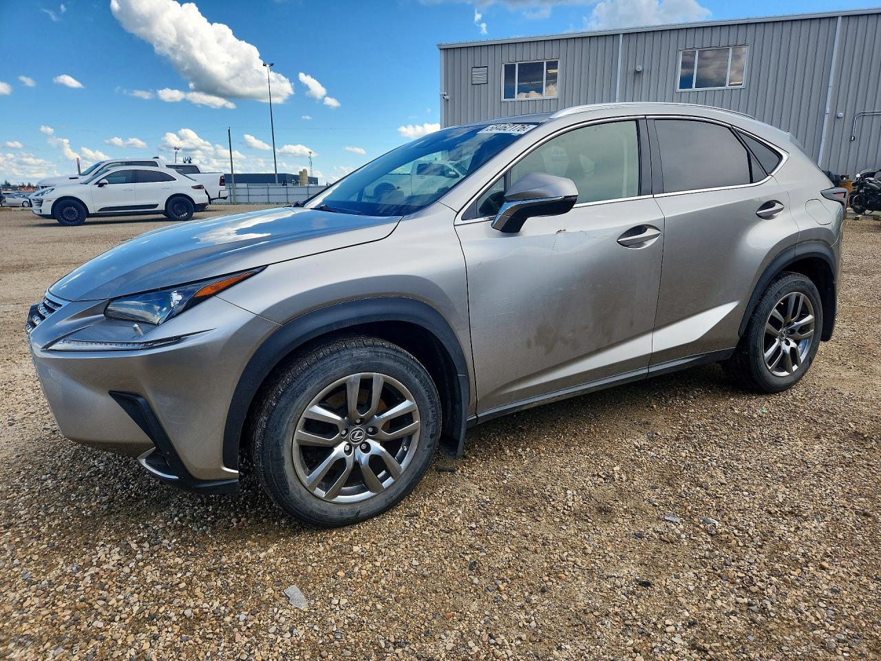 2018 LEXUS NX 300 300 Luxury