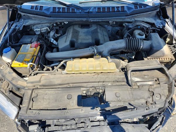 2019 FORD F150