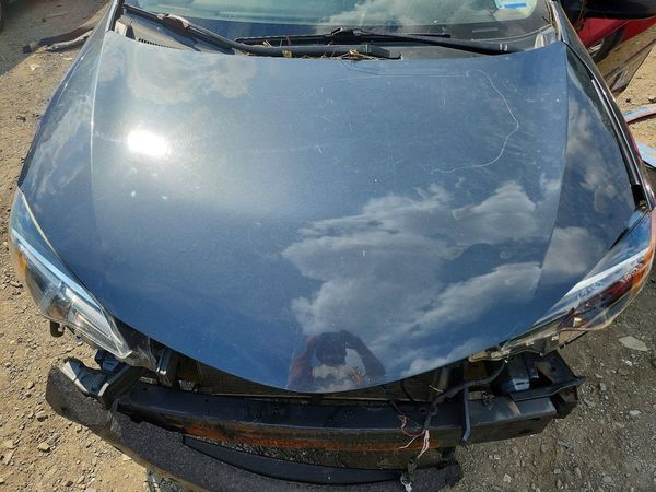 2019 TOYOTA COROLLA L/LE/SE/XLE/XSE