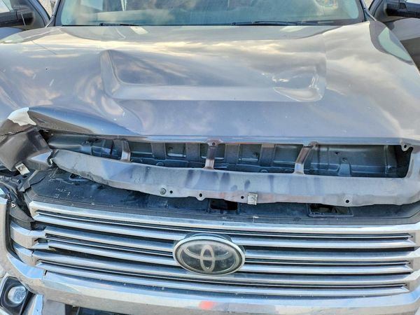 2019 TOYOTA TUNDRA Platinum Grade