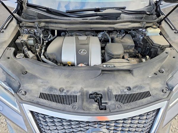 2019 LEXUS RX 350 350 Standard