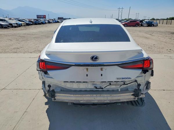 2019 LEXUS ES 300h