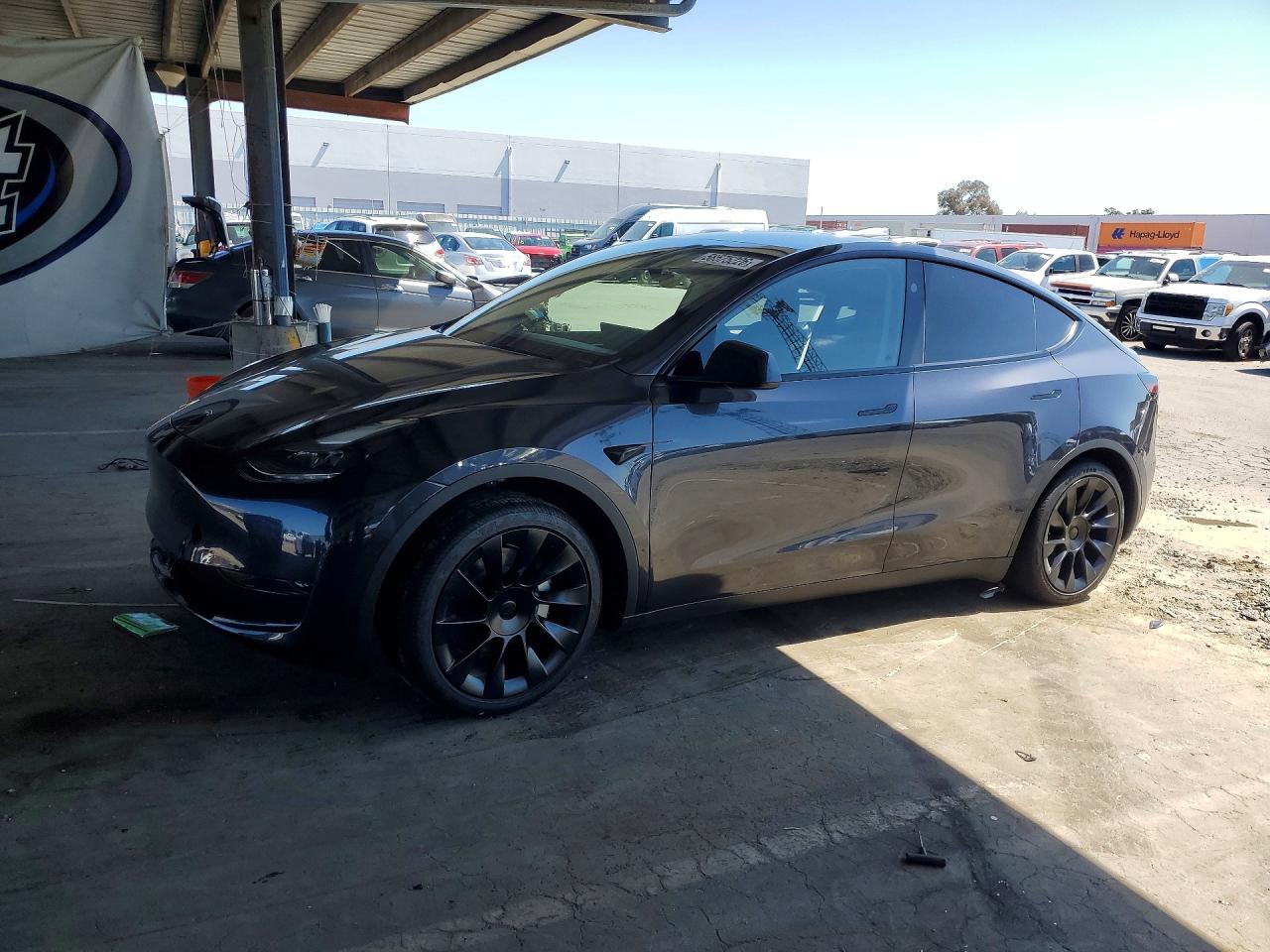 2024 TESLA MODEL Y