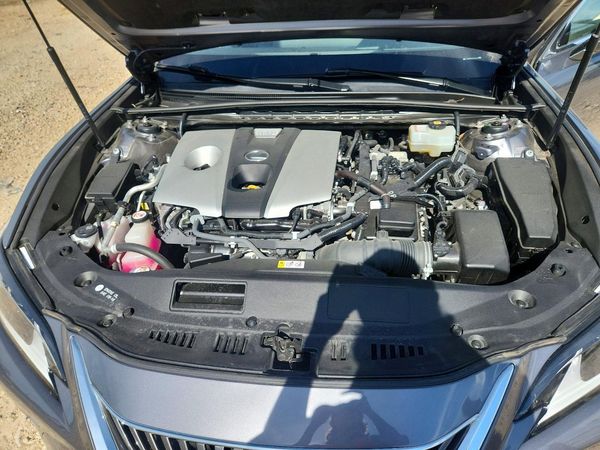 2019 LEXUS ES 300h