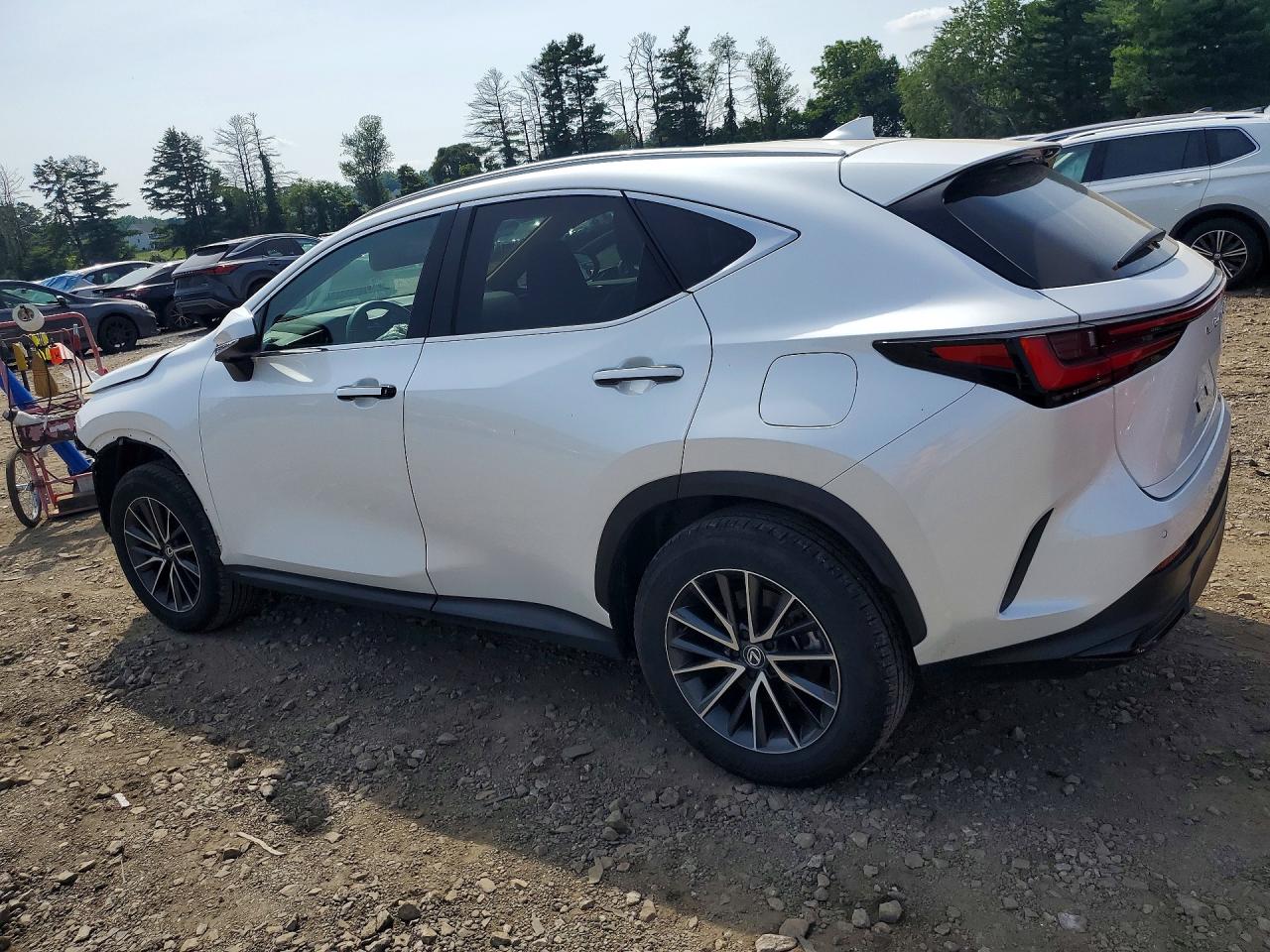2024 LEXUS NX 350H 350 Premium