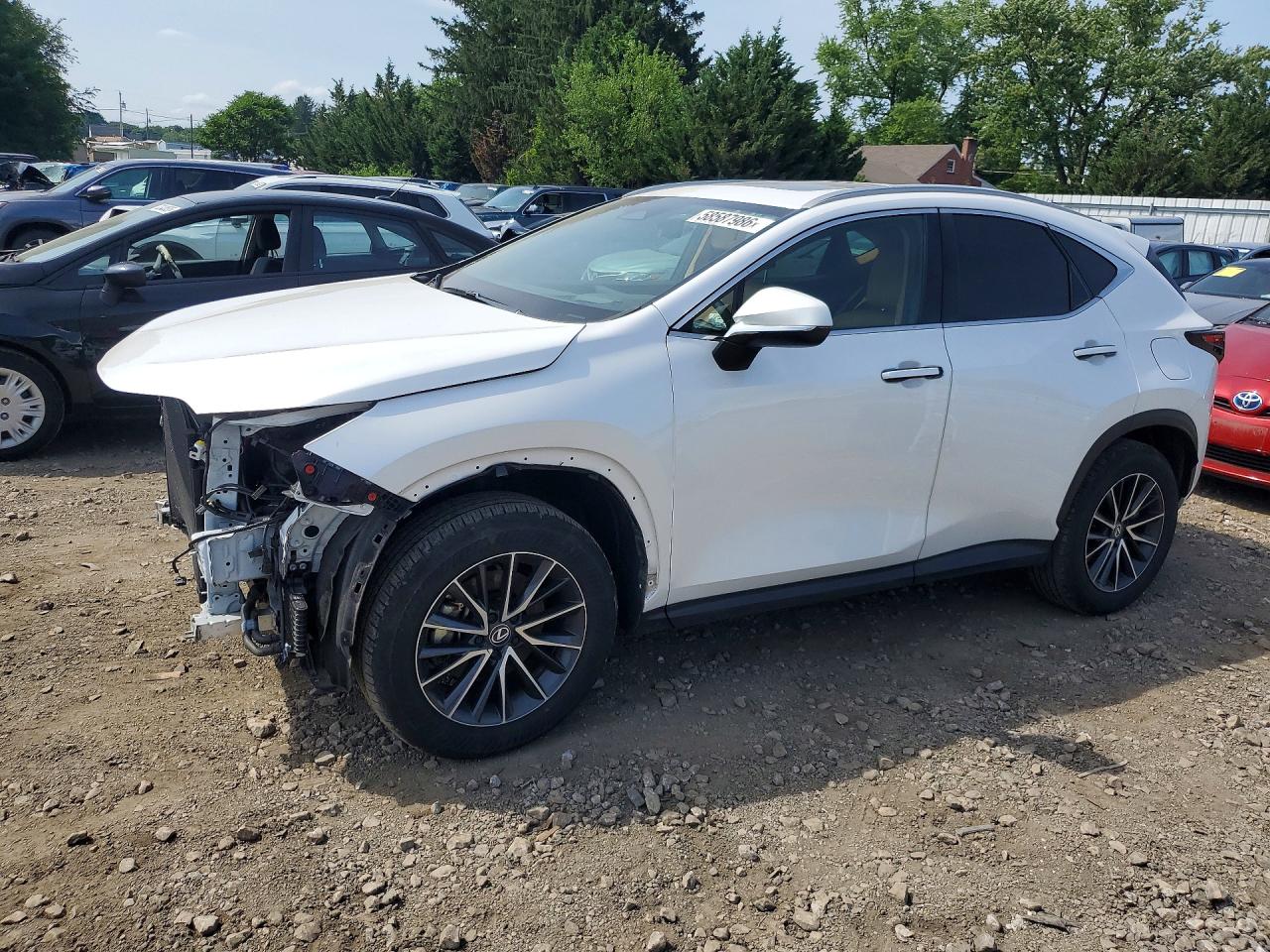 2024 LEXUS NX 350H 350 Premium