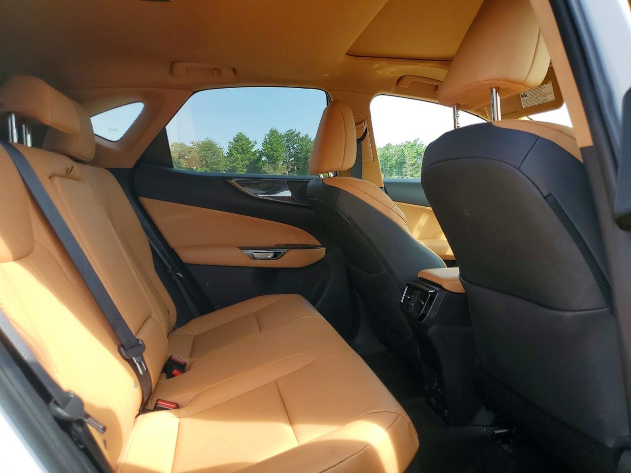 2024 LEXUS NX 350H 350 Premium