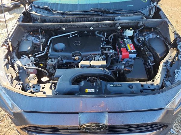2019 TOYOTA RAV4 XLE / XLE Premium 4WD