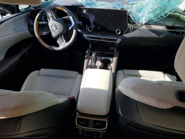 2025 LEXUS RX 350