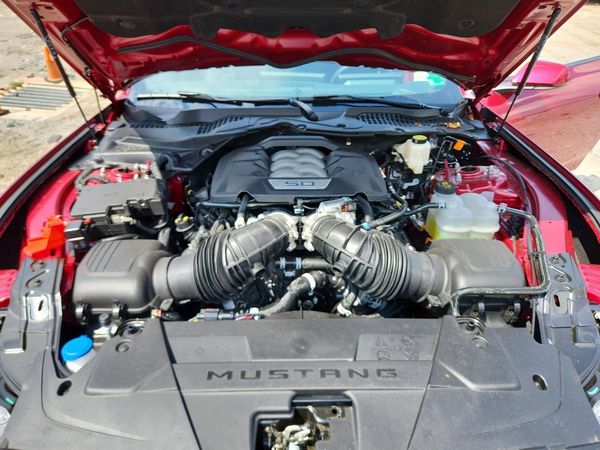 2026 FORD MUSTANG GT