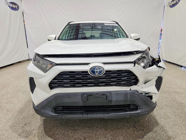 2019 TOYOTA RAV4 LE HV 4WD — DIRF