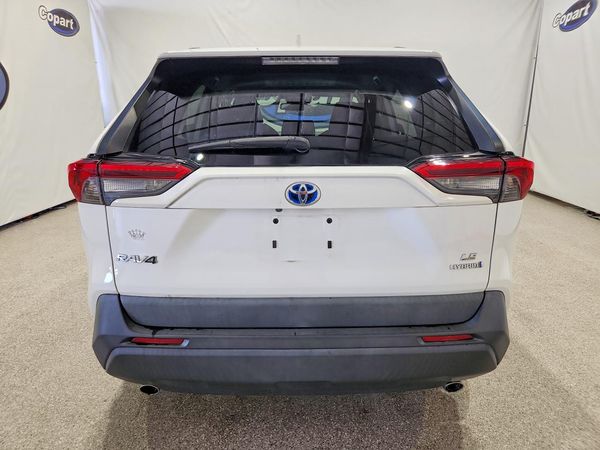 2019 TOYOTA RAV4 LE HV 4WD — DIRR