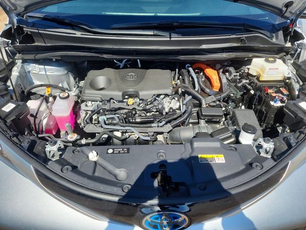 2025 TOYOTA SIENNA