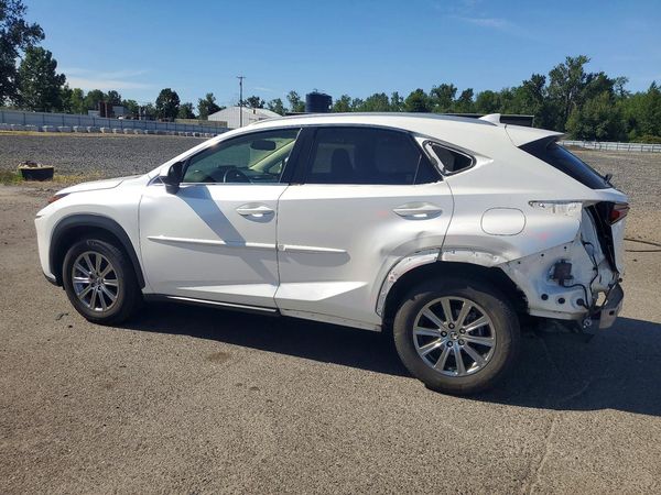2019 LEXUS NX 300 300 Luxury