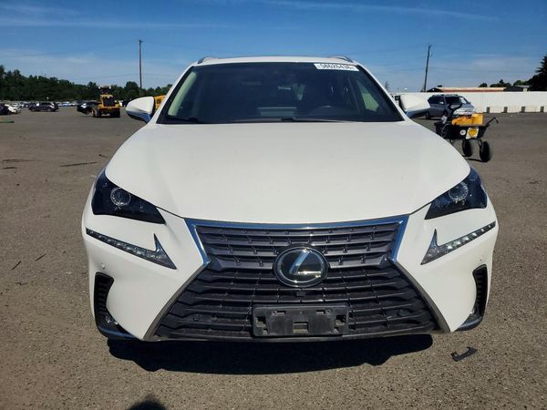 2019 LEXUS NX 300 300 Luxury