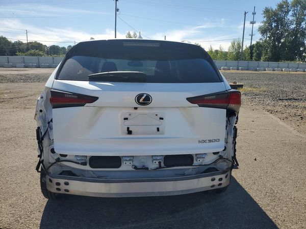 2019 LEXUS NX 300 300 Luxury