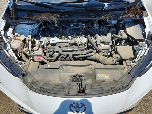 2025 TOYOTA PRIUS