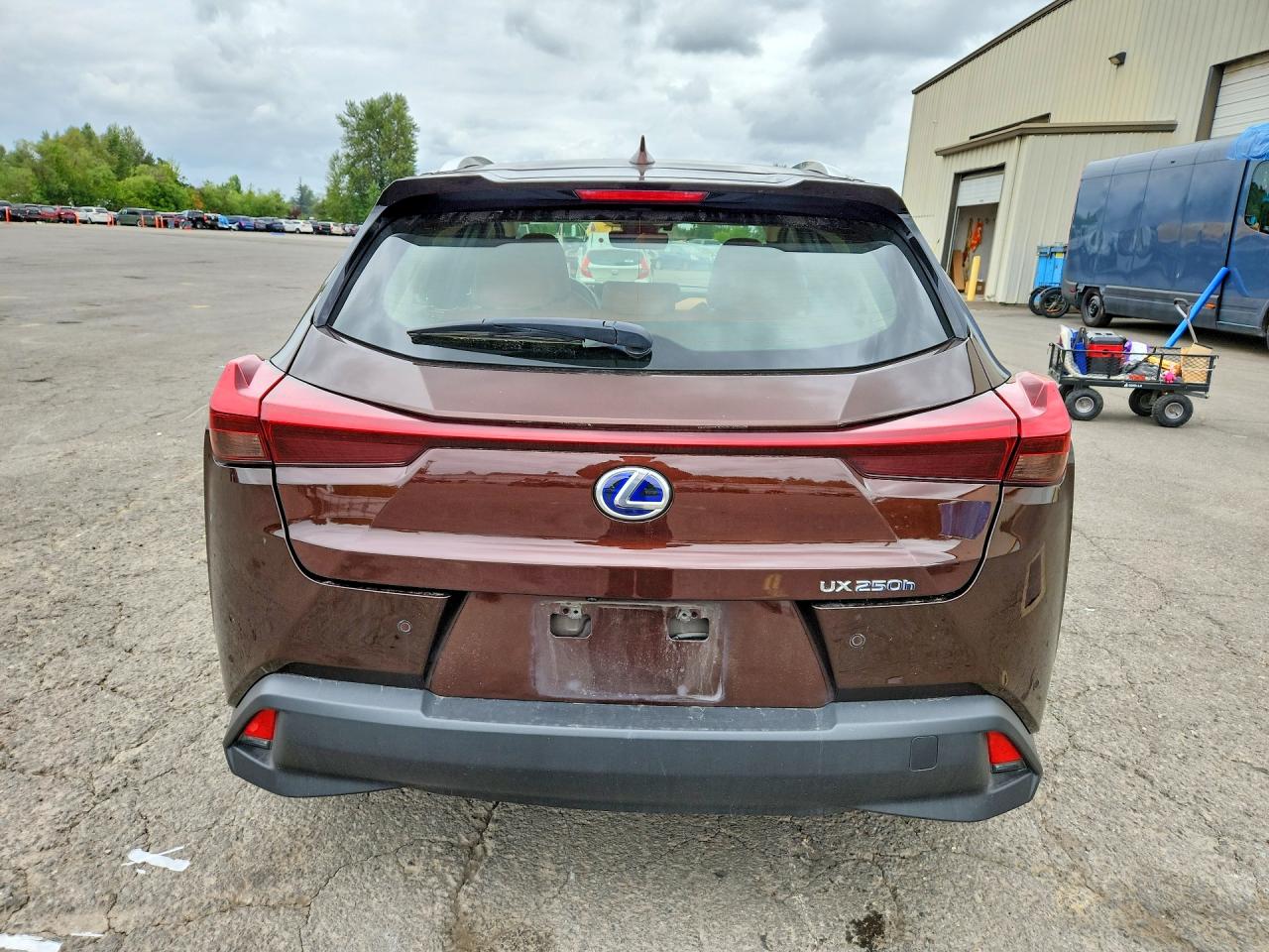 2019 LEXUS UX