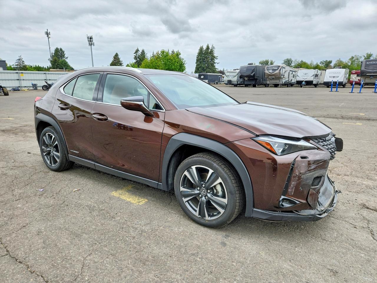 2019 LEXUS UX